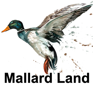 Mallard Land