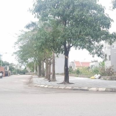 Khu đô thị Quảng Hồng